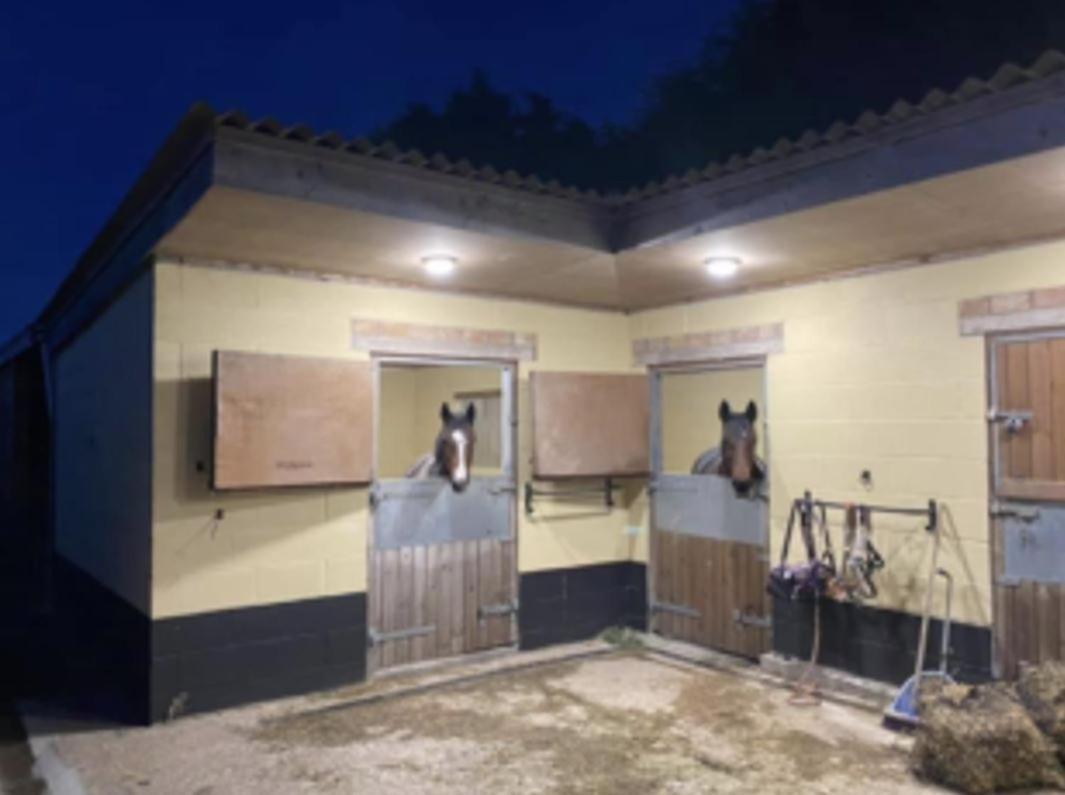 Southview Farm Villa Halsham Luaran gambar